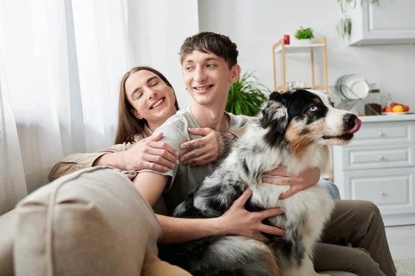 Jovem e de cabelos longos homossexual homem abraçando sorrindo namorado acariciando peludo australiano pastor cão no sofá confortável na sala de estar em casa — Fotografia de Stock