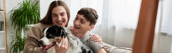 Cheerful and young gay couple in casual clothes petting and looking at furry Australian shepherd dog while spending time on couch in living room at home, banner — Stock Photo