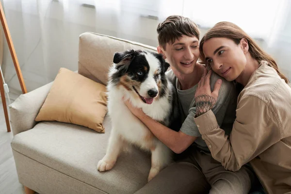 Tattooed and long haired gay man in casual clothes hugging carefree boyfriend petting friendly Australian shepherd dog while sitting on modern couch in living room at home — Stock Photo