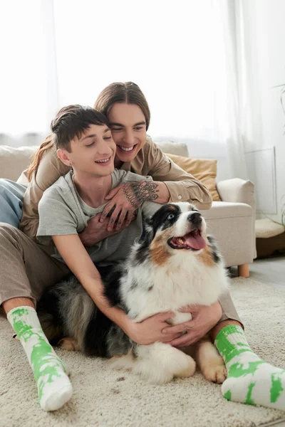 Positive long haired gay man in casual shirt hugging tattooed boyfriend near furry Australian shepherd dog lying on carpet in living room at home — Stock Photo