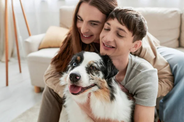 Furry Australian shepherd dog sticking out tongue while sitting near blurred and lappy lgbt couple while spending time together in living room at home — Stock Photo