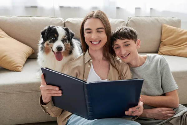 Alegre pareja lgbt mirando álbum de fotos mientras está sentado cerca de perro pastor australiano y cómodo sofá en la sala de estar moderna en casa - foto de stock