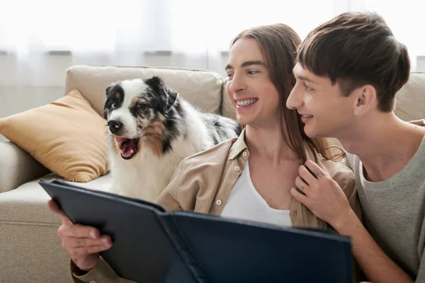 Positivo lgbtq pareja sosteniendo álbum de fotos en las manos y sonriendo juntos mientras se sienta cerca de perro pastor australiano y sofá en la sala de estar moderna en casa - foto de stock
