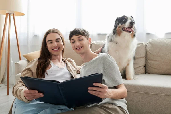 Positivo lgbt coppia guardando album fotografico e sorridente pur avendo ricordi felici e seduto vicino cane pastore australiano e divano in soggiorno moderno a casa — Foto stock