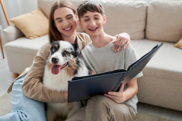 Happy gay couple looking at photo album and smiling while having happy memories and sitting near Australian shepherd dog and sofa in modern living room on blurred background — Stock Photo