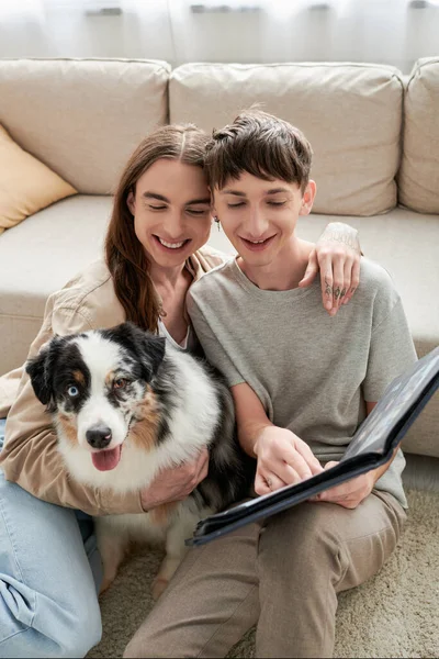 Happy gay couple looking together at photo album and smiling while having happy memories and sitting near Australian shepherd dog and sofa in modern living room — Stock Photo