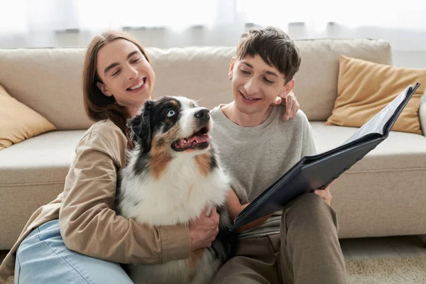 Lächelnde und junge schwule Männer, die gemeinsam auf den australischen Schäferhund schauen und ein Fotoalbum in der Hand halten, während sie im Wohnzimmer einer modernen Wohnung lächeln — Stockfoto