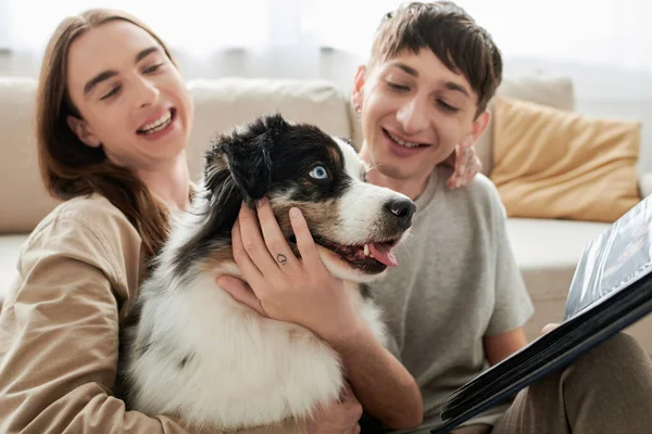 Sorrindo e jovens homens gays com tatuagem abraçando cão pastor australiano e segurando álbum de fotos enquanto sorrindo juntos na sala de estar no apartamento moderno — Fotografia de Stock