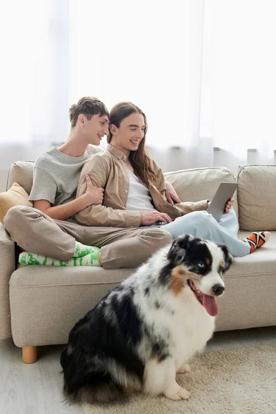 Alegre gay homem sentado no sofá com feliz namorado no casual roupas e usando laptop juntos perto australiano pastor cão dentro de sala de estar no moderno apartamento — Fotografia de Stock