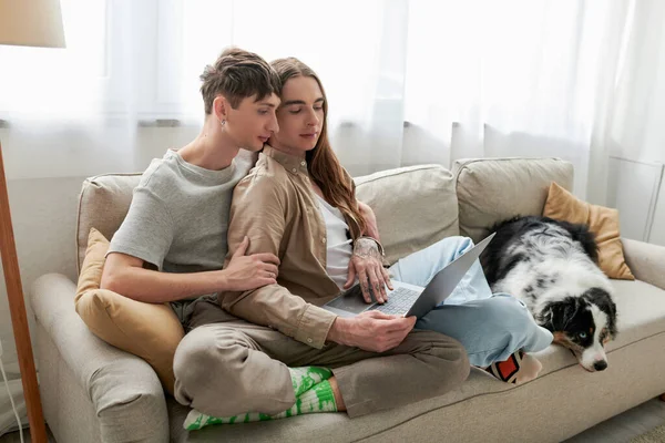 Joven pareja lgbt en ropa casual mirando portátil mientras busca algo en línea y sentado en cómodo sofá cerca de perro pastor australiano en apartamento moderno - foto de stock