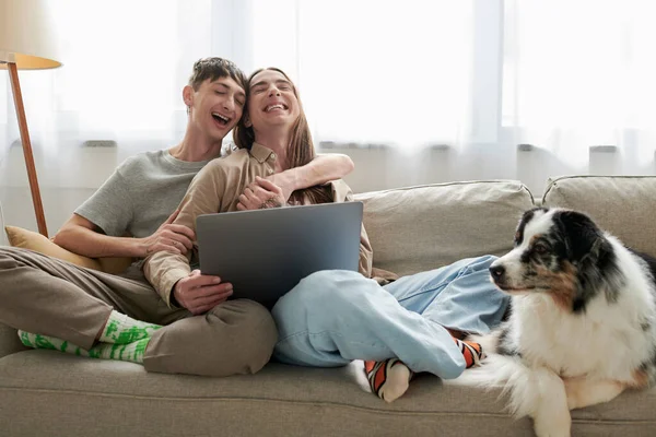 Cheerful gay couple in casual clothes hugging and using laptop while sitting together on comfortable couch with pillows near furry friend in modern living room — Stock Photo