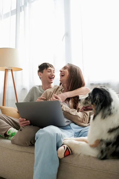 Fröhliche homosexuelle Partner in lässiger Kleidung lachen, während sie sich umarmen und zusammen neben Laptop und niedlichem pelzigen Freund sitzen, der neben ihnen auf der Couch im modernen Wohnzimmer ruht — Stockfoto