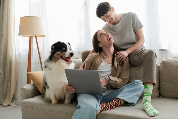 Australian shepherd dog resting on comfortable couch near cheerful gay partners in casual clothes smiling while hugging each other and sitting together with laptop — Stock Photo