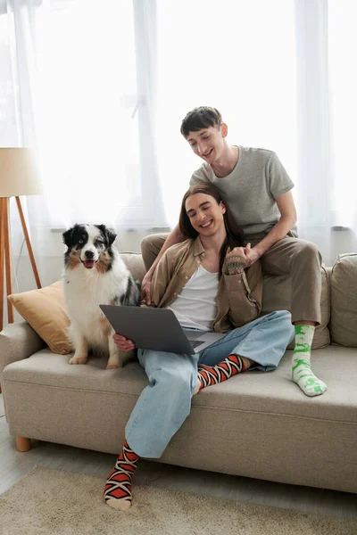 Cheerful gay partners in casual clothes smiling while holding each others hands and sitting together near laptop next to cute Australian shepherd dog on couch in modern living room — Stock Photo