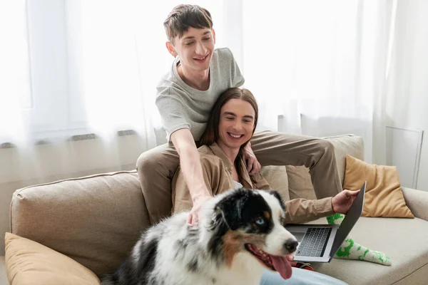 Alegre gay homem abraçando australiano pastor cão enquanto sentado ao lado de feliz namorado com longo cabelo segurando laptop enquanto trabalhava a partir de casa na sala de estar — Fotografia de Stock
