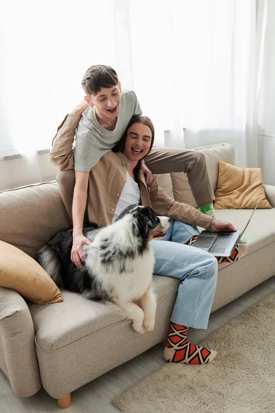 Cheerful gay man cuddling Australian shepherd dog while sitting next to joyful boyfriend with long hair holding laptop while working from home in living room — Stock Photo
