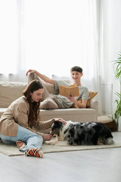 Alegre gay homem leitura livro e descansando no confortável sofá enquanto seu namorado com longo cabelo brincando com australiano pastor cão no moderno apartamento — Fotografia de Stock