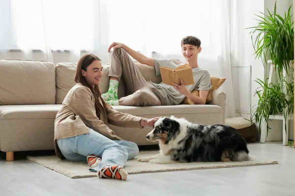 Feliz gay homem com longo cabelo brincando com australiano pastor cão enquanto seu namorado em casual roupas descansando no sofá e leitura livro no moderno sala de estar — Fotografia de Stock