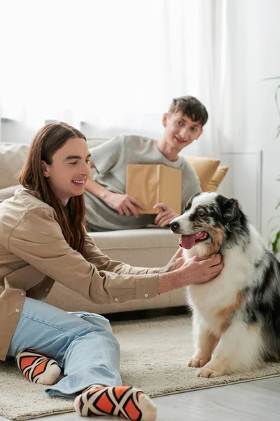 Cheerful gay man with long hair cuddling Australian shepherd dog while his boyfriend in casual clothes resting on couch and holding book in modern living room — Stock Photo