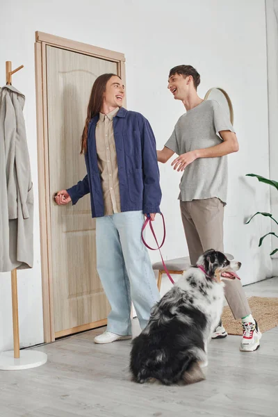 Happy gay man looking at boyfriend with long hair standing in modern hallway next to coat rack and holding leash with Australian shepherd dog while smiling together at home — Stock Photo