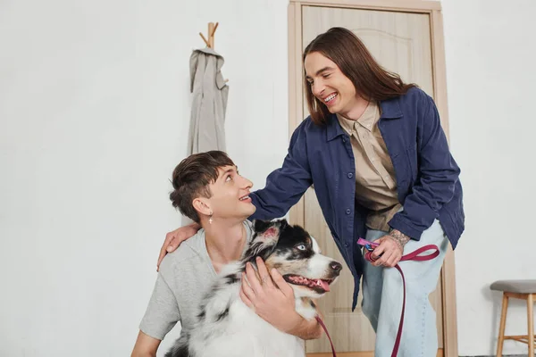 Happy tattooed gay man with long hair smiling and holding leash while touching back of cheerful boyfriend cuddling Australian shepherd dog next to coat rack and door in modern hallway — Stock Photo
