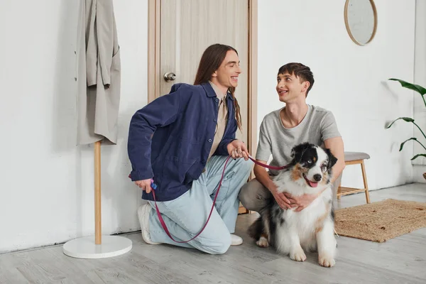Alegre lgbt casal em roupas casuais sorrindo enquanto se ajoelham e abraçando bonito cão pastor australiano ao lado da porta e cabide no corredor do apartamento moderno — Fotografia de Stock