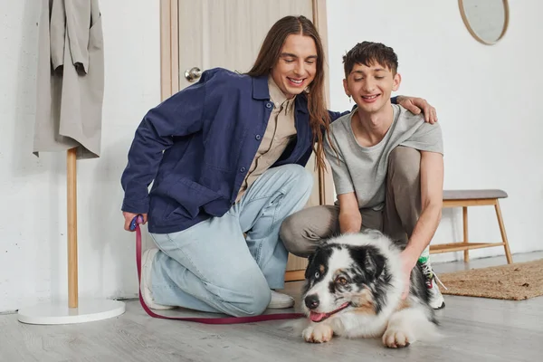 Alegre pareja lgbt en trajes casuales sonriendo mientras se arrodillan juntos junto a lindo perro pastor australiano cerca de la puerta y perchero en el pasillo del apartamento moderno - foto de stock