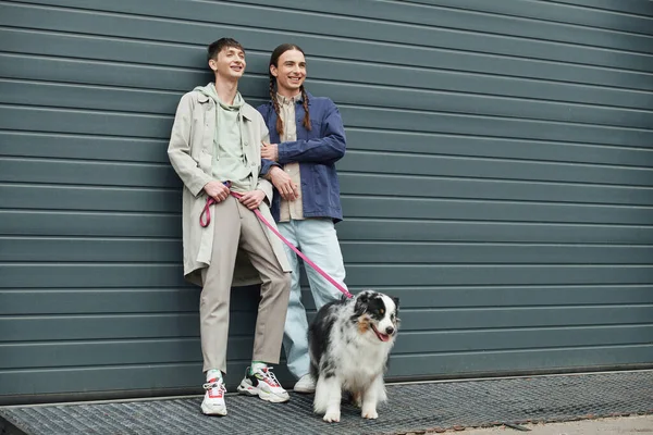 Tattooed and cheerful gay man in casual outfit holding leash of Australian shepherd dog and standing next to positive boyfriend with pigtails hairstyle near garage door outside on street — Stock Photo