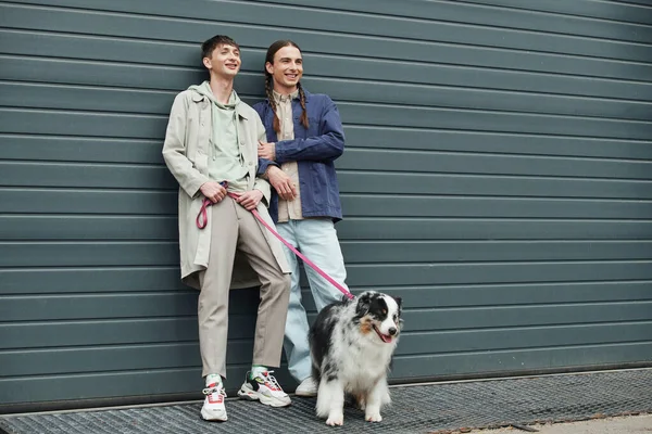 Allegro gay uomo tenendo guinzaglio di australiano pastore cane e in piedi accanto a sorridente fidanzato con trecce vicino garage porta al di fuori su urbano strada — Foto stock