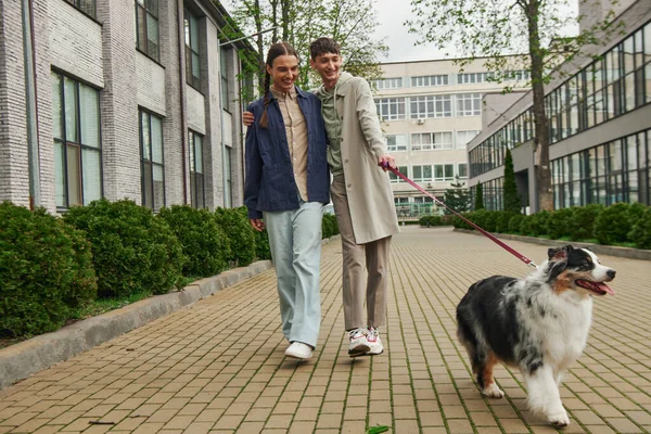 Cheerful gay man in casual outfit holding leash of Australian shepherd dog while walking out together with smiling boyfriend with pigtails near modern building on urban street — Stock Photo