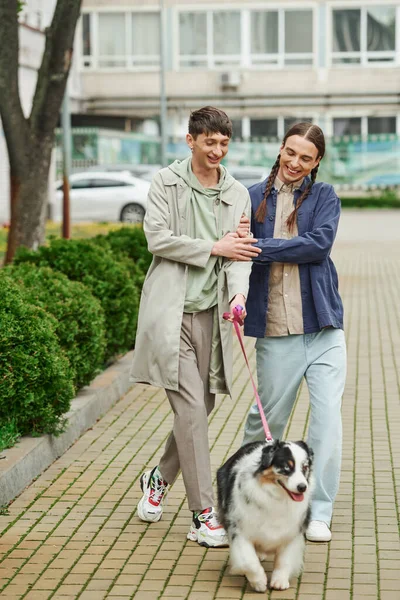 Alegre gay homens no casual roupas segurando trela de australiano pastor cão enquanto andando fora juntos e sorrindo perto verde arbustos e moderno edifício no urbano rua — Fotografia de Stock
