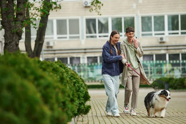 Happy lgbt couple in casual outfits holding leash of Australian shepherd dog while walking out together and smiling near green bushes and modern building on urban street — Stock Photo