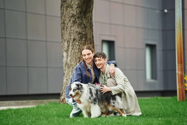 Feliz casal lgbt abraçando e sentado no gramado verde perto do cão pastor australiano enquanto caminham juntos e sorrindo perto de árvore e edifício moderno no fundo borrado na rua — Fotografia de Stock