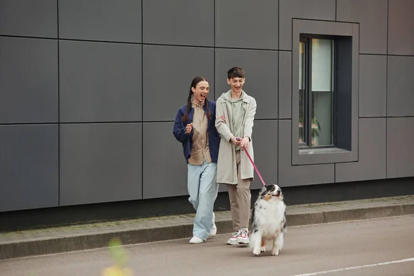 Cheerful gay man in casual outfit holding leash of Australian shepherd dog while walking out together with excited boyfriend with pigtails near modern grey building — Stock Photo