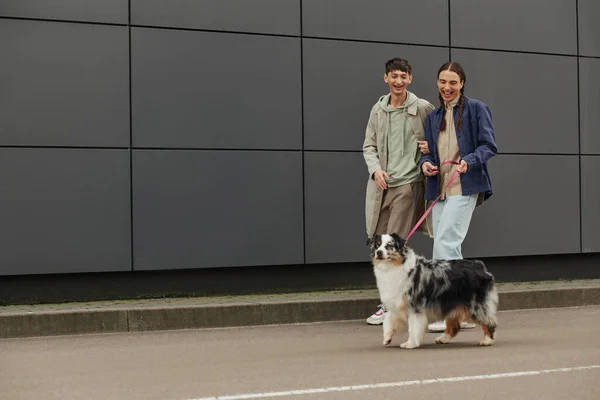 Smiling gay man with pigtails holding leash and walking out with Australian shepherd dog and happy boyfriend in casual outfit near modern grey building — Stock Photo