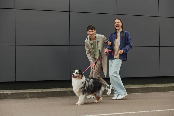 Excited gay man with pigtails holding leash and walking out with Australian shepherd dog and happy boyfriend in casual outfit near modern grey building — Stock Photo