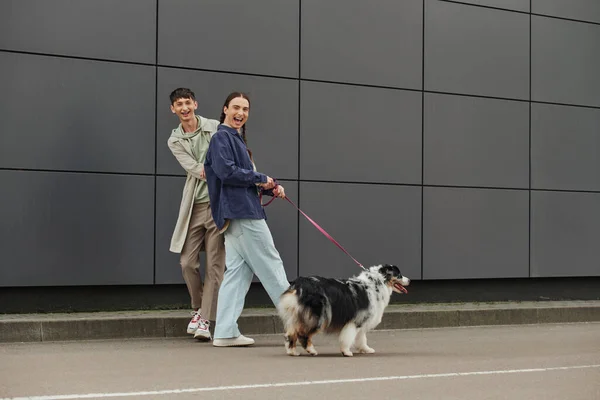 Positive gay man with pigtails hairstyle holding leash and walking out with Australian shepherd dog and happy boyfriend in casual outfit near modern grey building — Stock Photo