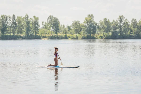 Full length of sportive african american woman in striped swimsuit standing on knees while sailing on sup board with paddle along riverside with green trees — Stock Photo