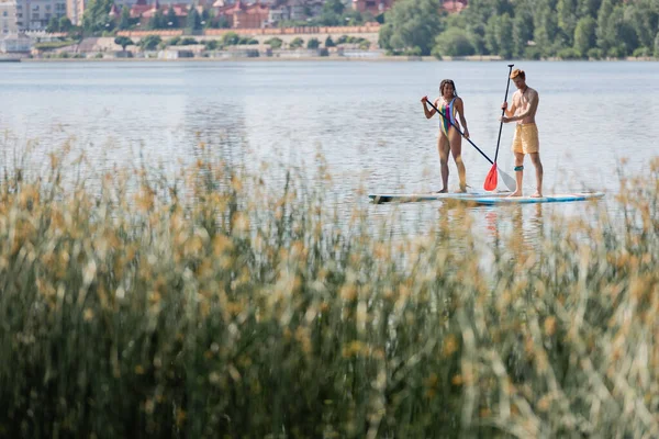 In voller Länge segelt ein sportliches Paar in farbenfroher Badebekleidung auf Surfbrettern mit Paddeln entlang des malerischen Flussufers mit verschwommenen grünen Pflanzen — Stockfoto