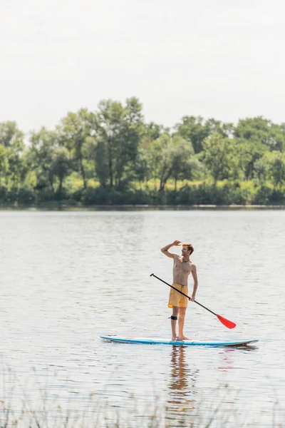 Full length of sportive and redhead man in yellow swim shorts standing on sup board with paddle and looking away on lake with green trees on bank during summer weekend — Stock Photo