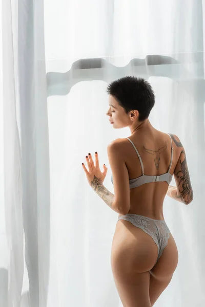 Back view of young, desirable and tattooed woman with short brunette hair, in bra and lace panties, enjoying natural light while standing near white curtain in modern bedroom at home — Stock Photo
