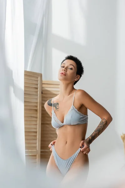 Passionate tattooed woman with short brunette hair and sexy tattooed body pulling grey silk panties and looking at camera near white curtain and room divider in bedroom, blurred foreground — Stock Photo