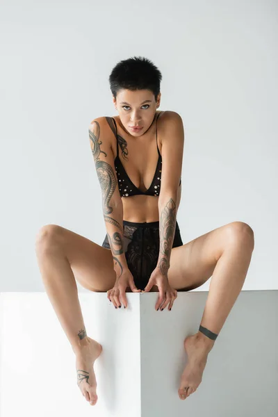 Full length of provocative woman with short brunette hair and sexy tattooed body sitting on white cube in black lace panties and bra with pearl beads while looking at camera on grey background — Stock Photo