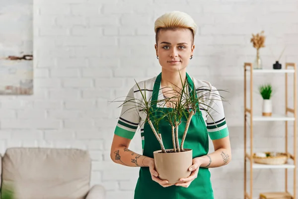 Tätowierte Frau mit trendiger Frisur, grüner Schürze, Blumentopf mit tropischer Pflanze in der Hand und Blick in die Kamera in der Wohnung, umweltfreundliche, nachhaltige Wohnkultur und grünes Wohnkonzept — Stockfoto