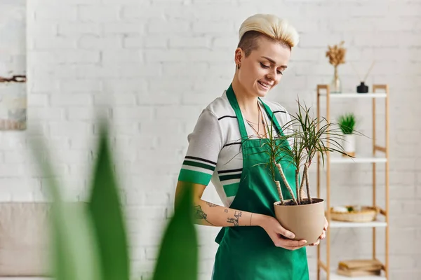 Environmentally friendly habits, young and joyful tattooed woman in green apron holding potted exotic plant on blurred foreground in modern apartment, sustainable home decor and green living concept — Stock Photo