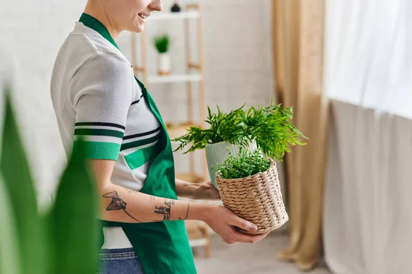 Partial view of young and smiling tattooed woman in apron holding flowerpots with green plants in living room, environmentally friendly, sustainable home decor and green living concept — Stock Photo