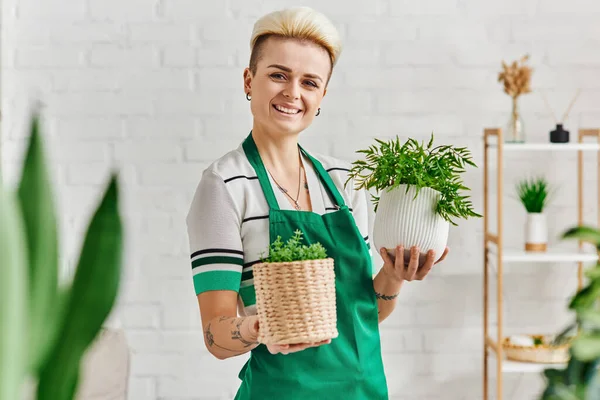 Eco-conscious mindset, excited tattooed woman with radiant smile holding flowerpots with green houseplants and looking at camera in modern apartment, sustainable home decor and green living concept — Stock Photo