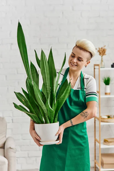 Счастье, веселая татуированная женщина с модной прической, держащая цветочный горшок с экзотическим растением листвы в современной гостиной, экологически сознательный образ жизни, устойчивый домашний декор и зеленая концепция жизни — стоковое фото