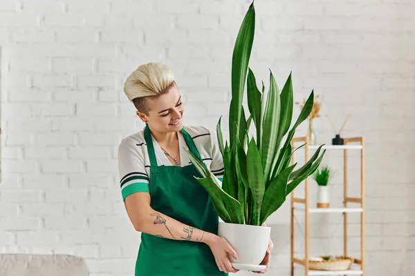 Jeune et joyeuse femme tatouée avec coiffure à la mode tenant plante exotique en pot de fleurs dans un appartement moderne, état d'esprit éco-conscient, décor durable et concept de vie verte — Photo de stock