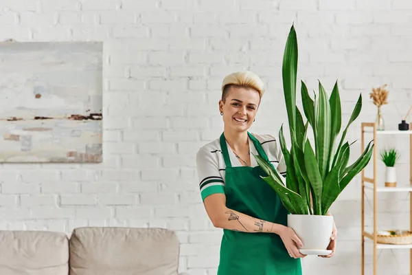 Donna spensierata e tatuata in grembiule verde con vaso da fiori con pianta esotica naturale e guardando la fotocamera in appartamento moderno, eco-friendly, arredamento domestico sostenibile e concetto di vita verde — Foto stock